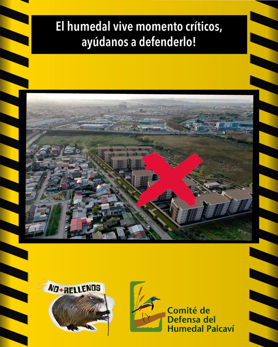 🔴 Nueva amenaza para el #HumedalPaicaví ‼️

Hoy ha ingresado a evaluación ambiental un nuevo proyecto inmobiliario que busca rellenar 2200 mt2 para edificar 350 departamentos distribuidos en 19 torres de 5 pisos cada una y 356 estacionamientos.

#humedales #Concepción #chile
