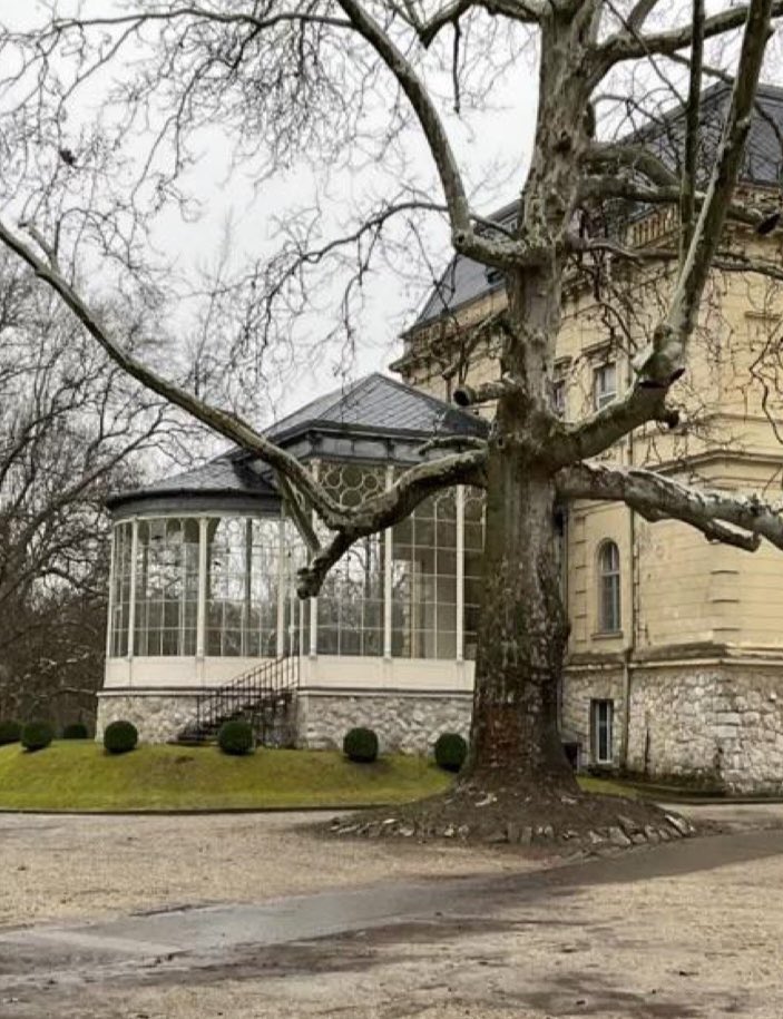 Floor Plan Croissant tweet media