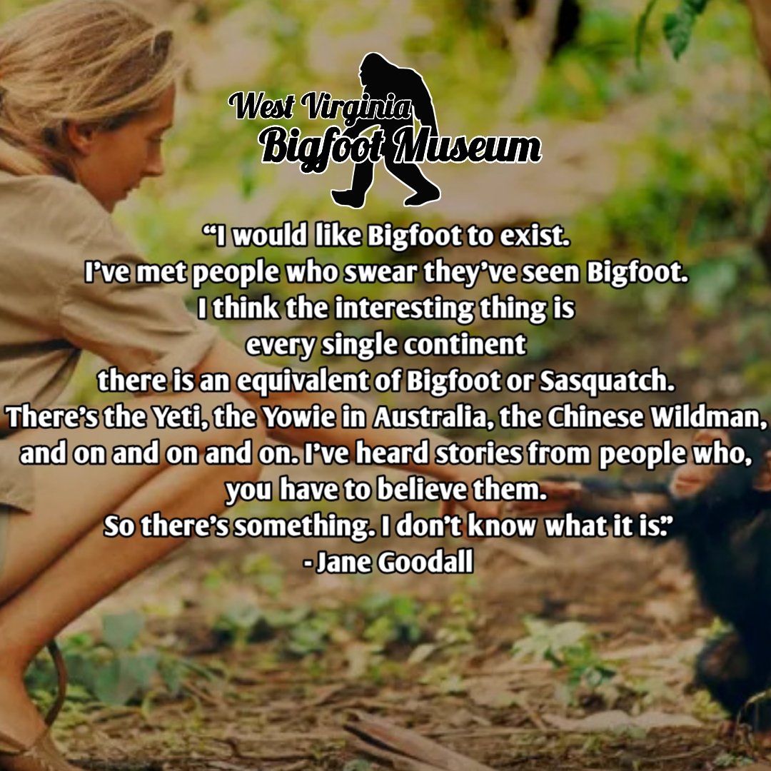 The West Virginia Bigfoot Museum tweet media