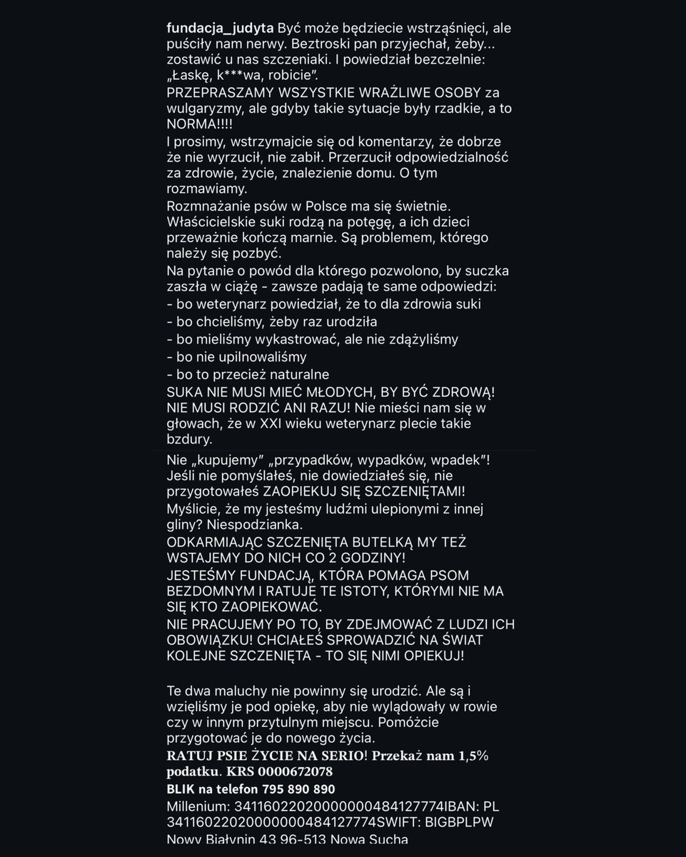 🌐 ᴛʜᴇᴘᴏʟᴀɴᴅɴᴇᴡs 🌐 tweet media