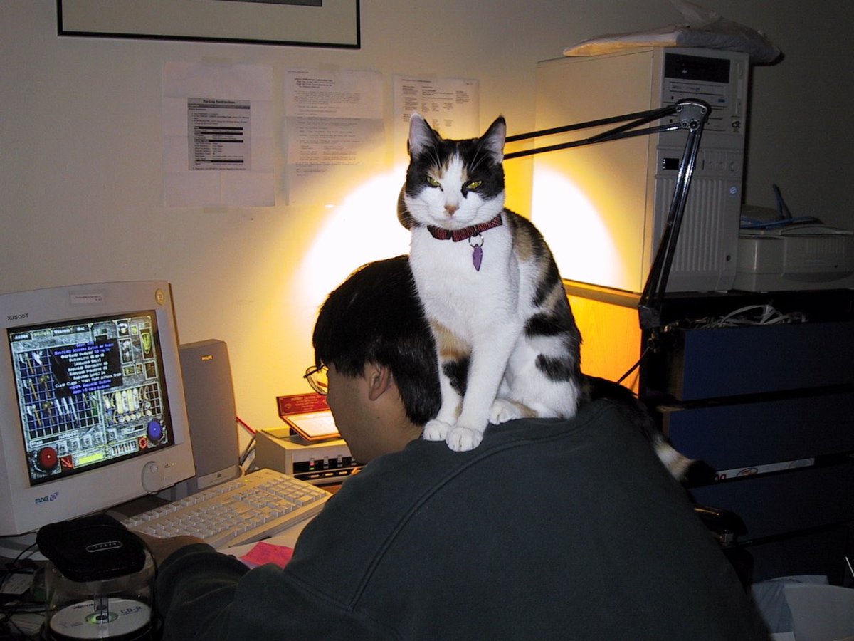 Old Internet (@oldinternetfeel) on Twitter photo 