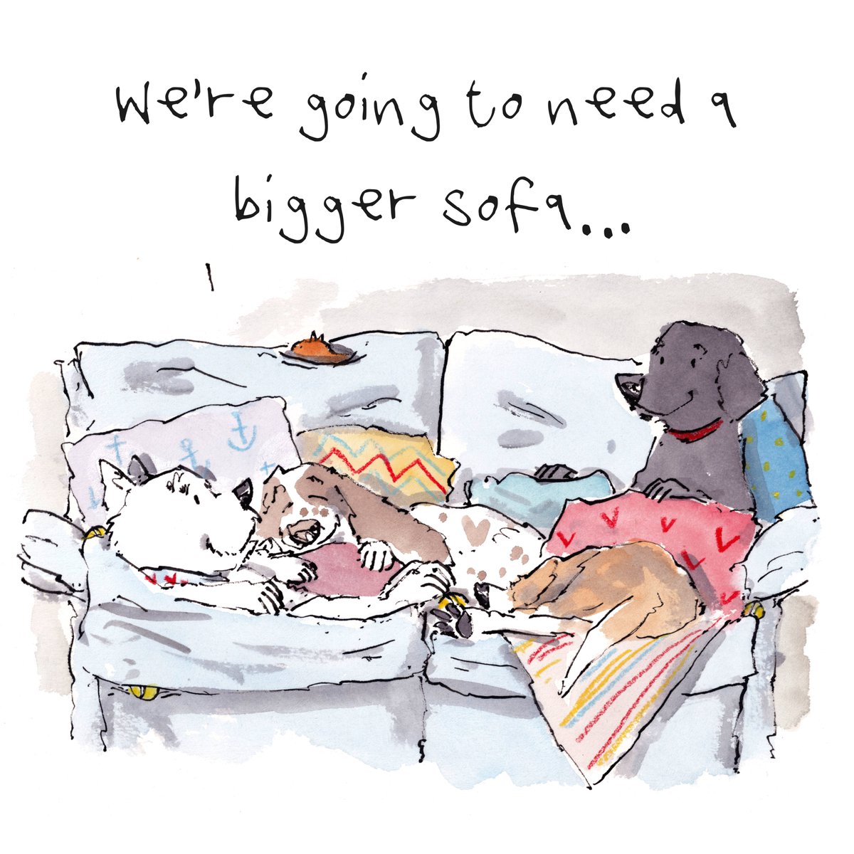 Good night, lovely people and lovely dogs.
The team are super comfy.
How do your dogs feel about the sofa? 
Sleep well and sweet dreams.
I hope that you have a fun day tomorrow. 
#hoorayfordogs #westie #springer #beagle #labrador #redsquirrel #sofa