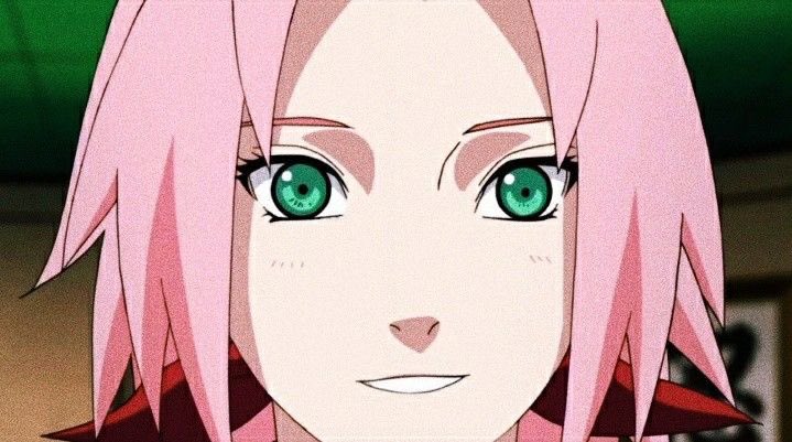 daily sakura tweet media