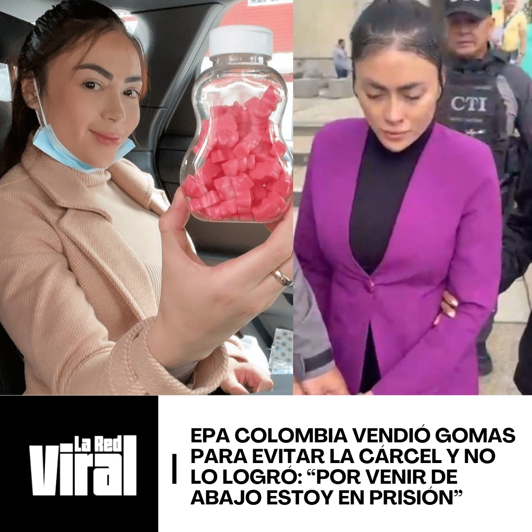 LA RED VIRAL tweet media