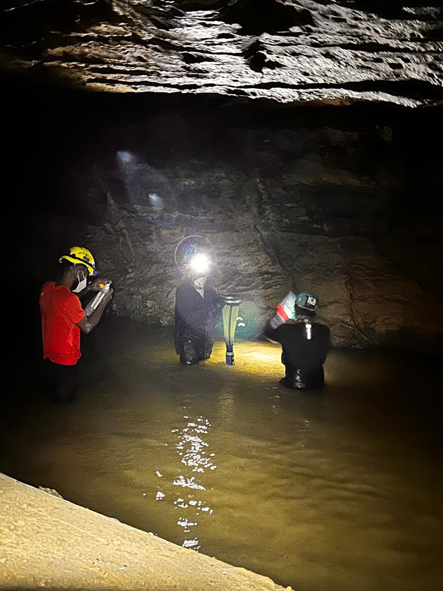 Carlos Lasso tweet media