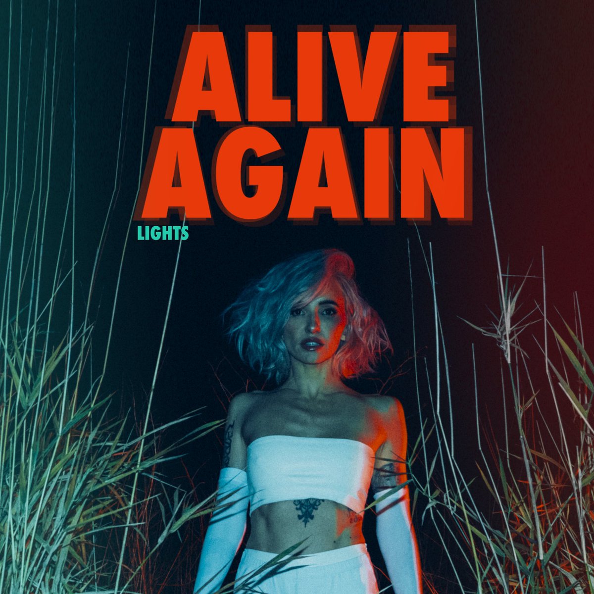 Lights tweet media