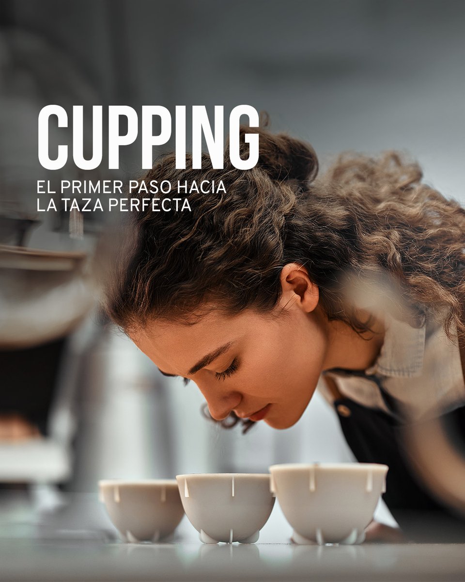 Como #MaestrosDelCafe, no dejamos nada al azar. 
El cupping es el momento donde puedes conectar con el café, descubrir sus notas, evaluar su cuerpo y asegurar que cada grano esté a la altura de las exigencias de un maestro.

#cupping #MocayProfesional