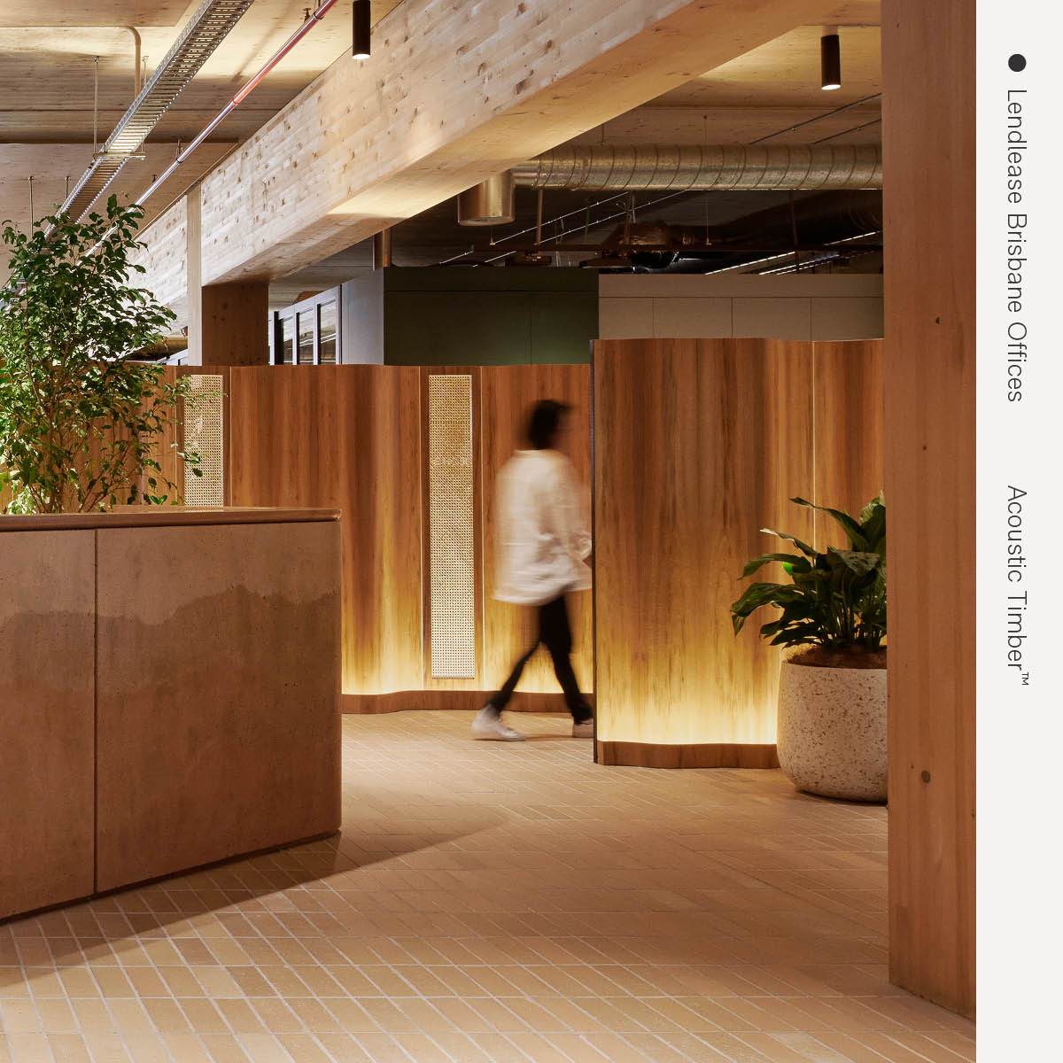 Autex Acoustics tweet media