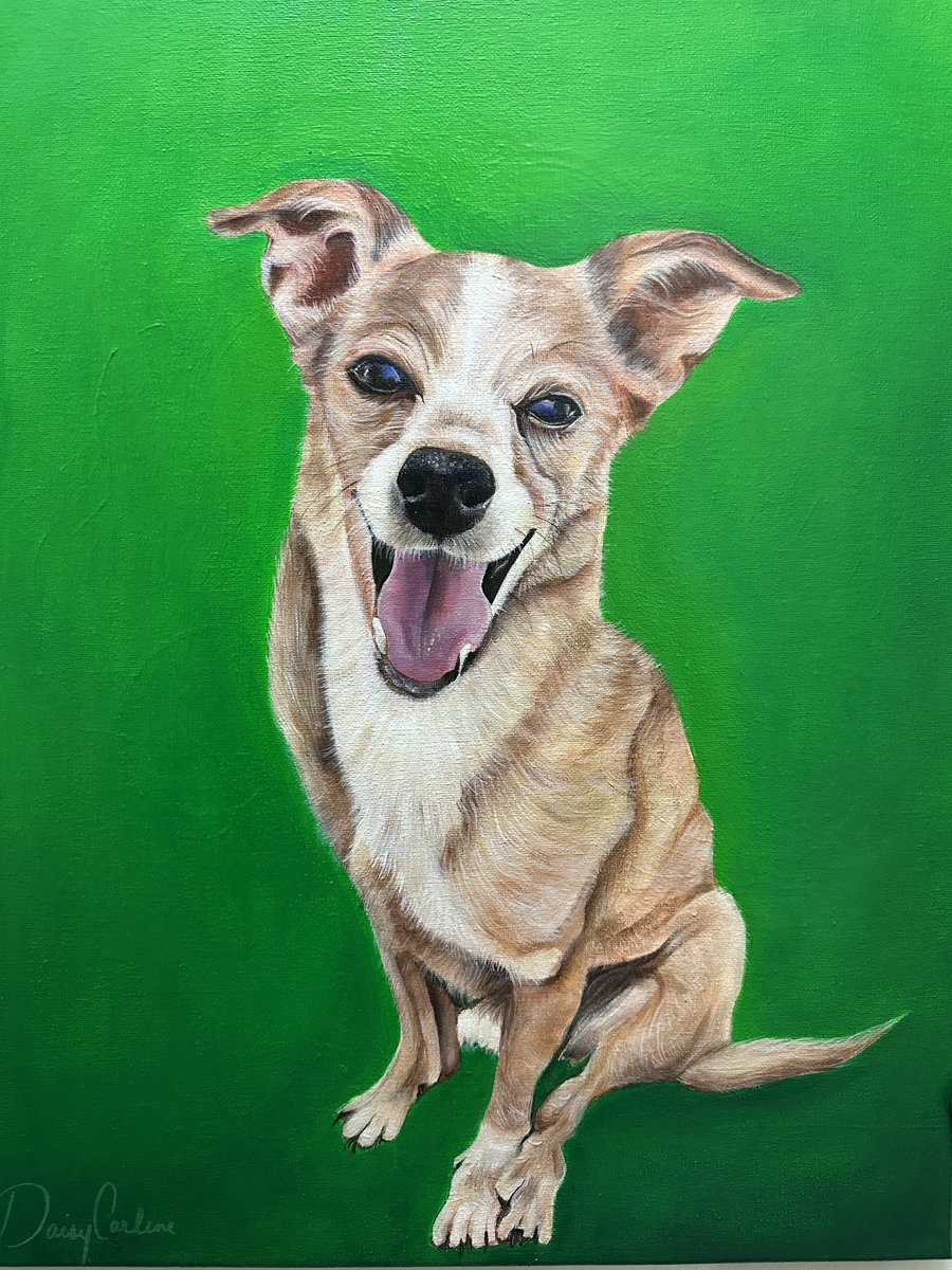 DaisyCarlene's tweet photo. First commission of the year is of my friends fur baby, Alvin 🐶 Reach out to me if you’d like to get a portrait done 🫶🏼

#art #painting #petportrait #artwork #artist #portrait #LosAngeles https://t.co/j1rp1j4PZS