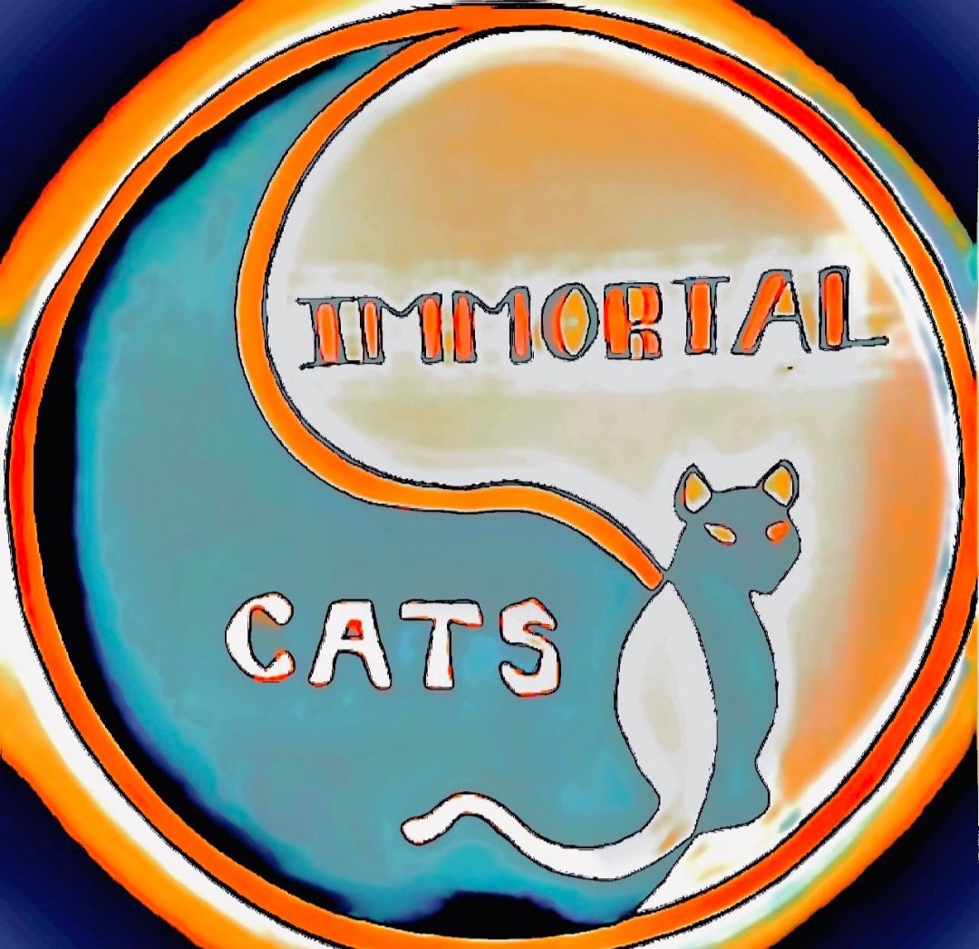 Infiniteeyemind's tweet photo. We would like to take the time to show appreciation to our marvelous community that allows Immortal God Cats to grow and reach new members. We value your insight! Message us for answers about IGC and upcoming release.
#Bitcoin #Cryptomarket #NFT #Solana #Crypto #NFTs #Unity #MOON https://t.co/WrcgFXwnV5