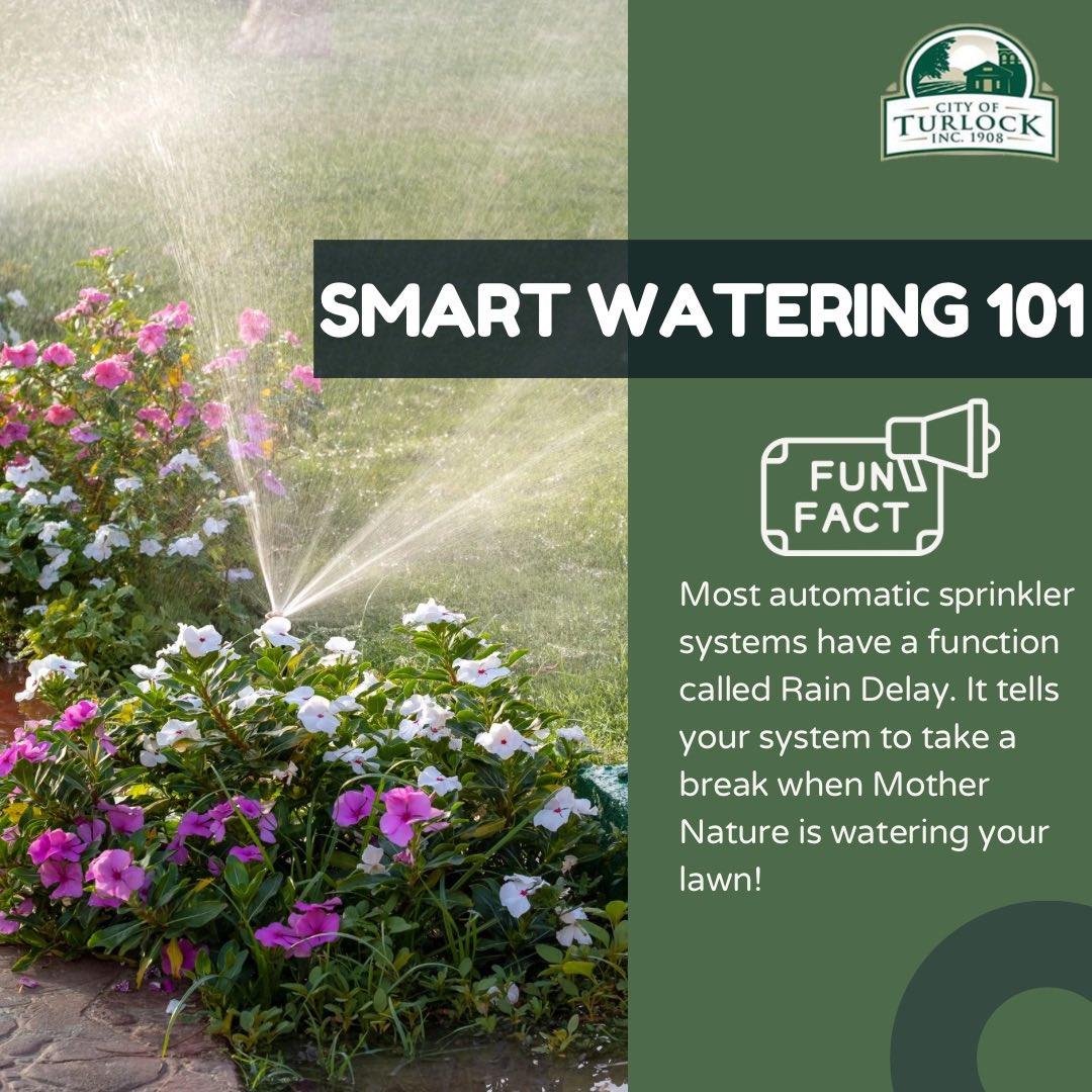 City of Turlock - Municipal Services Department tweet media