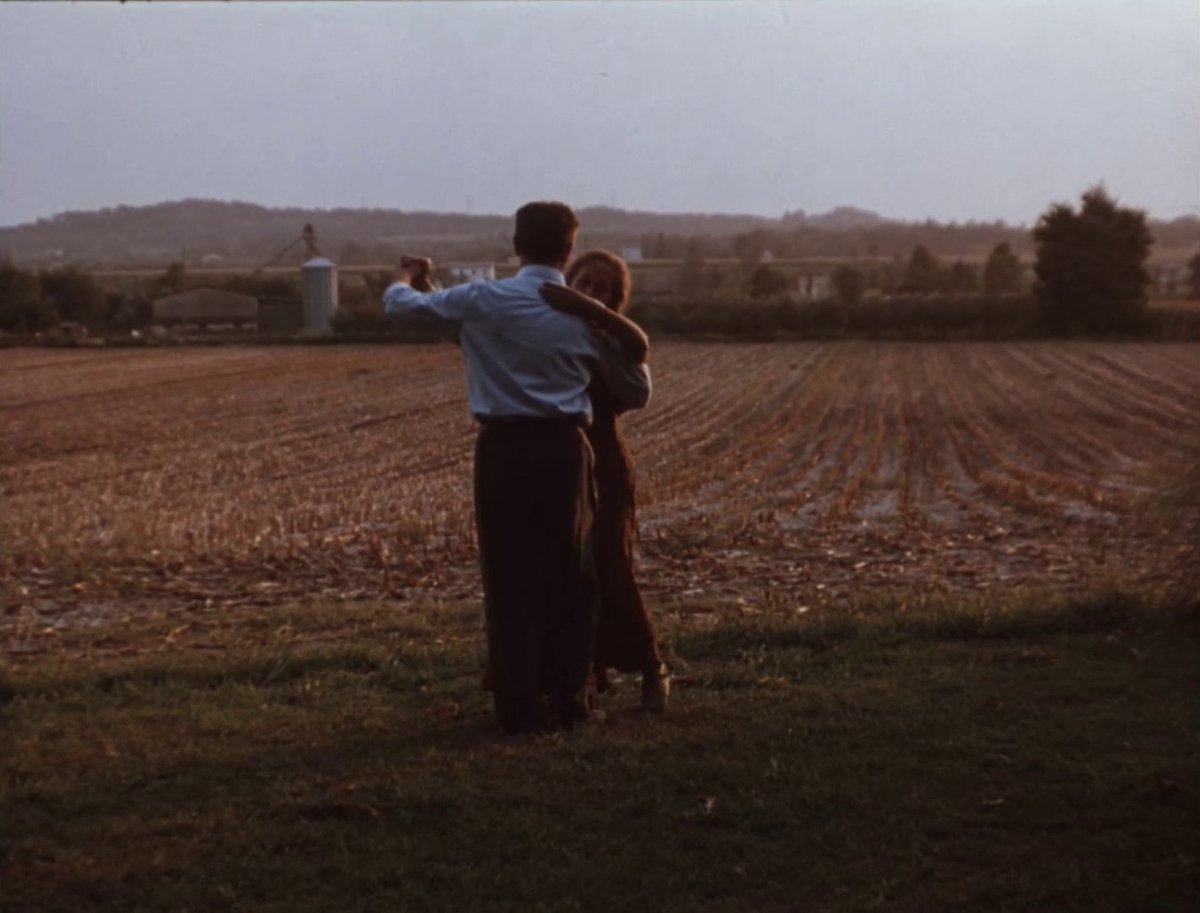 palomadato's tweet photo. Voci nel tempo (1996). Dir: Franco Piavoli https://t.co/mL9B4BvadI