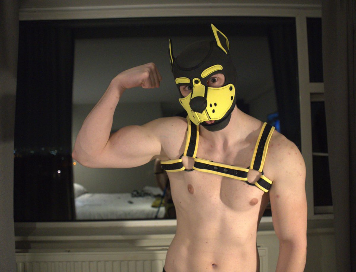 puppytoto tweet media