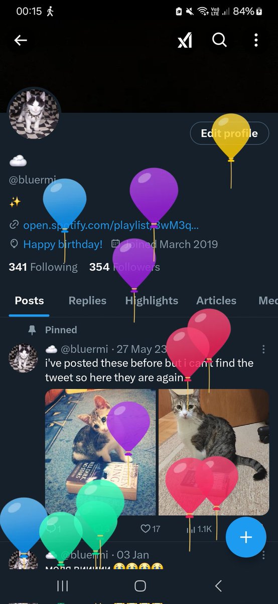 bluermi's tweet photo. fuck it i want wishes here as well https://t.co/1ReLIhzpam