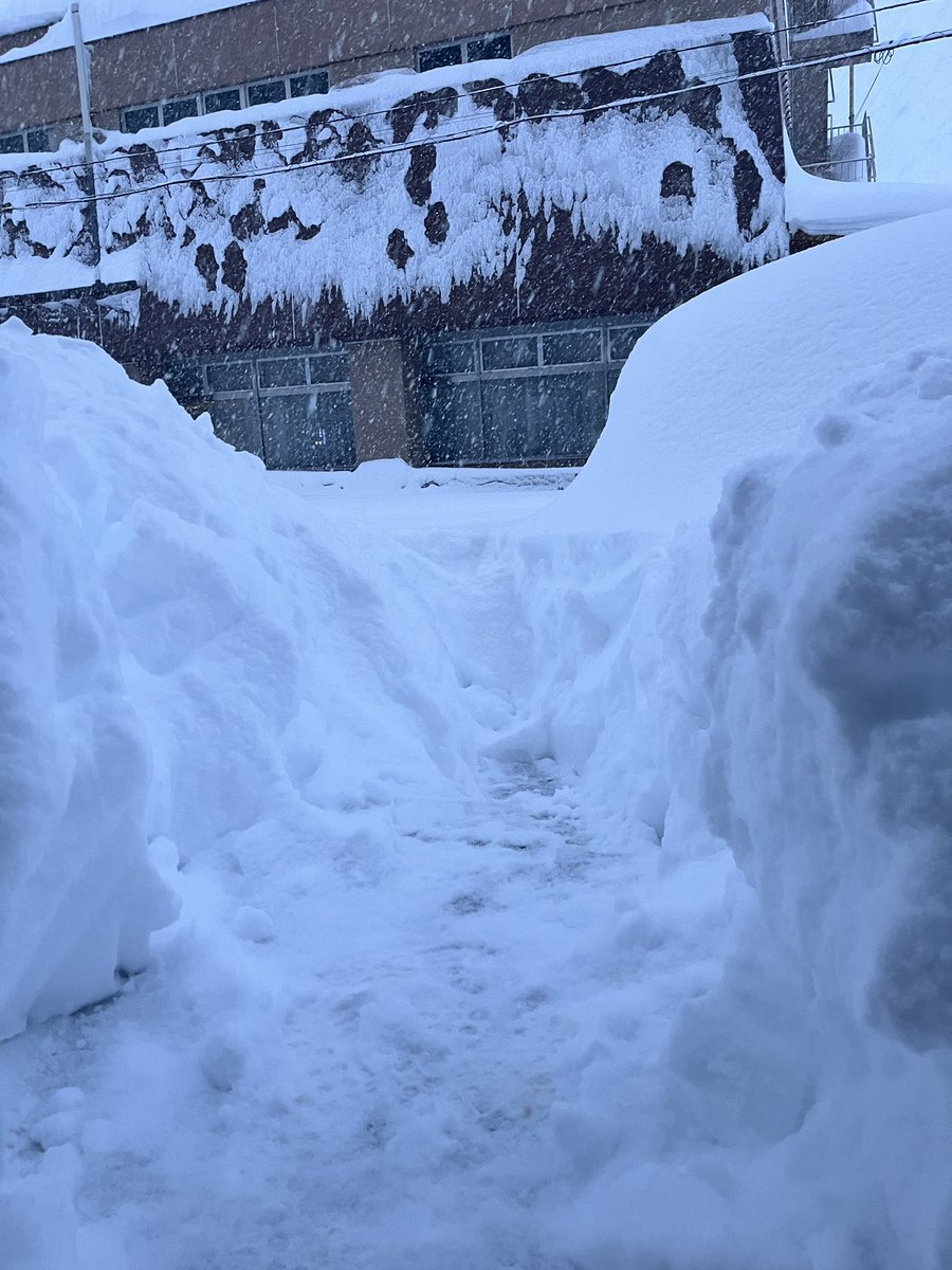 ふぁーーーーーーー！