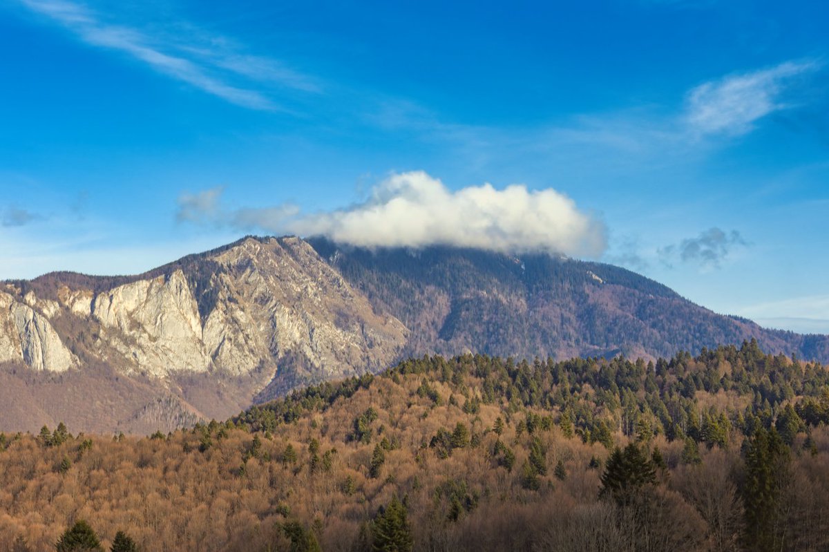 ConexSpot's tweet photo. Bucegi Mountains View - #Predeal #Romania - #photography https://t.co/TGEULKNxYq