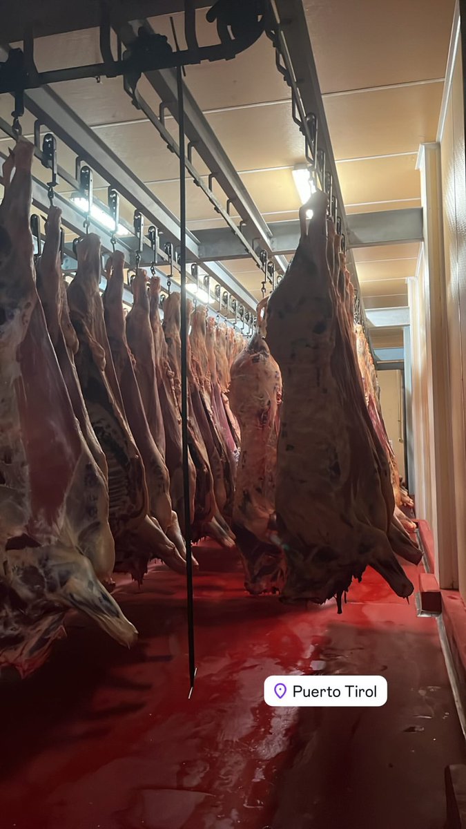 jaimskiii's tweet photo. @PregoneroL No es así @PregoneroL. Desde que el Javo es presidente en Industrial Frigochaco SA produce la mejor carne del planeta tierra. Abrazo https://t.co/VerIXElAnz