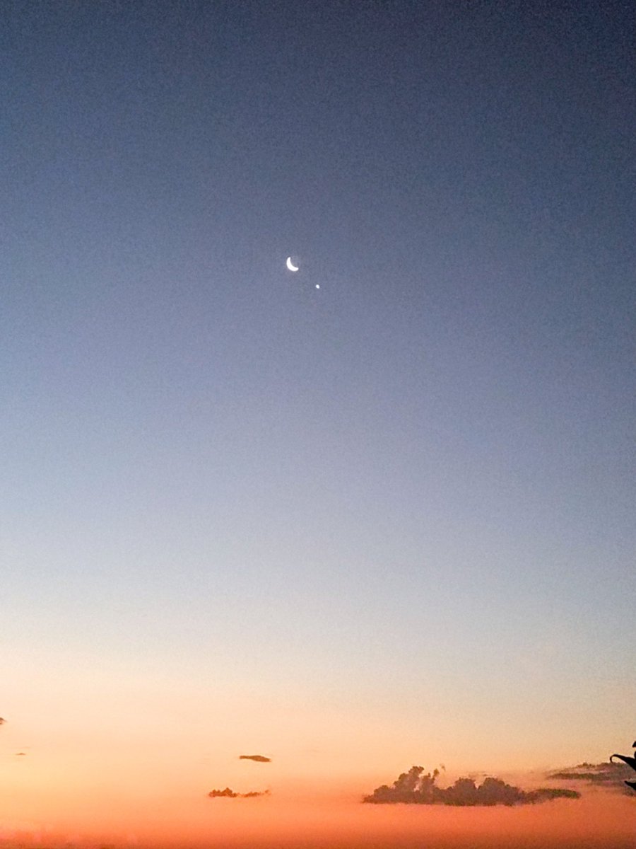 MonicaBrisot's tweet photo. Lua e Vênus 🌜🌌
01/02/2025
@AstroUSP @ValongoUFRJ @astronomiaum @cascavel_prefa https://t.co/BQ4h8uYhua