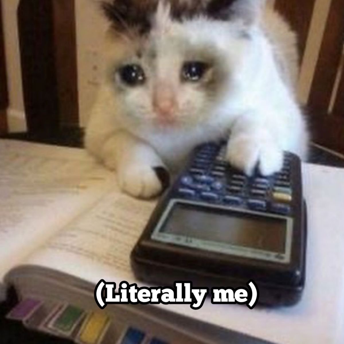 ujotfm's tweet image. Plan na dziś taki jak na zdjęciach…

Trzymamy kciuki!! Warto zacisnąć zęby na ostatniej prostej i już niedługo można będzie na nowo zacząć żyć🙏

#sesja #ujot #studynight