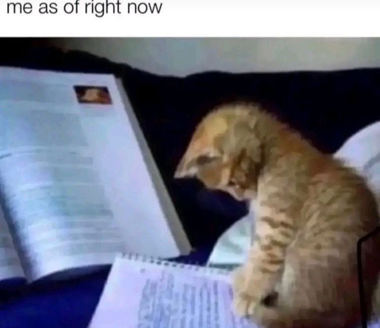 ujotfm's tweet image. Plan na dziś taki jak na zdjęciach…

Trzymamy kciuki!! Warto zacisnąć zęby na ostatniej prostej i już niedługo można będzie na nowo zacząć żyć🙏

#sesja #ujot #studynight