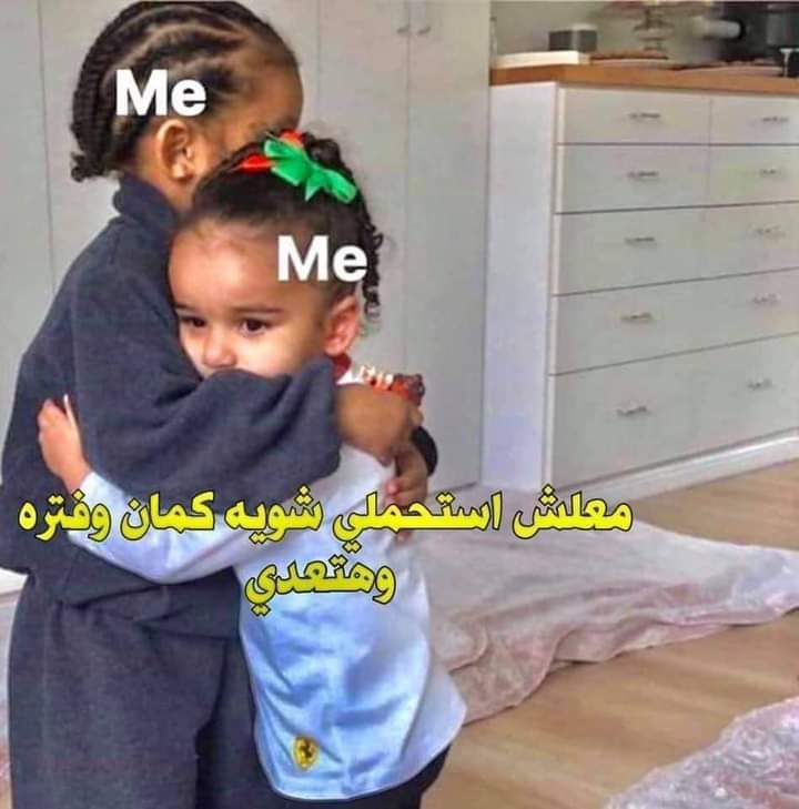 Toonzatt's tweet image. My life: