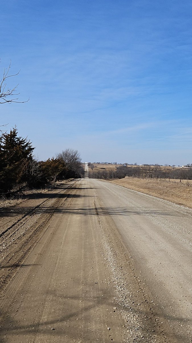 Coach Shore tweet media