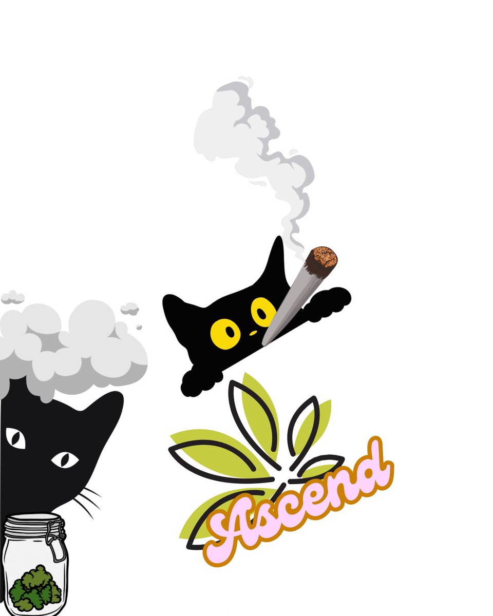 theweedtasting's tweet photo. Im chasing a vibe, it just so happens to include cats. #CatsOfTwitter #cannacats #stonercats #StonerFam #vibes https://t.co/OPwwApfmFy