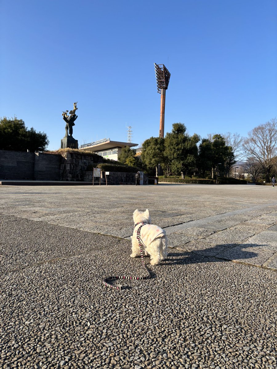 nasuke03's tweet image. 最強寒波がくるらしい
皆ワンご安全に😊