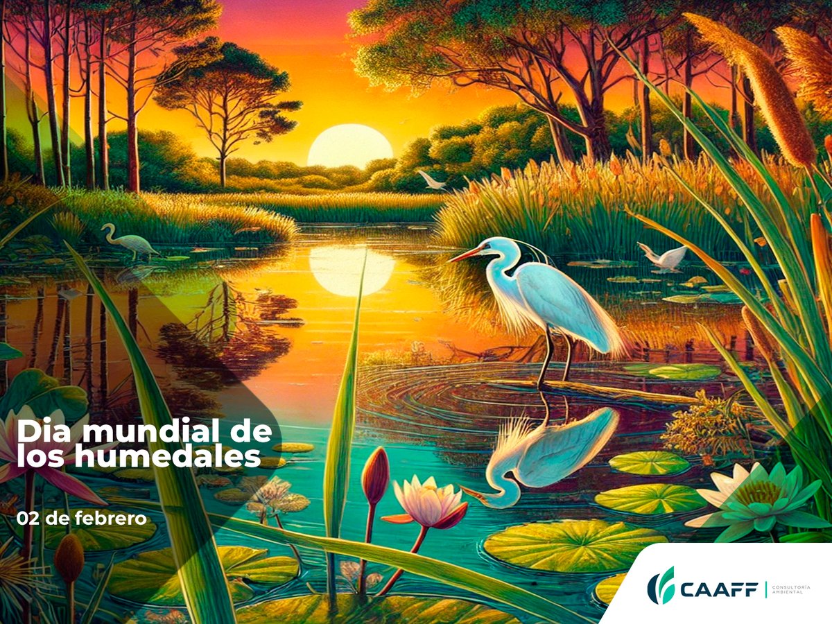 caaff1's tweet image. 🌎💦 02 de febrero es el Día Mundial de los Humedales.
Son el hogar de miles de especies 🦆🐢 y nos protegen del cambio climático 🌱.
Pero están desapareciendo… ¡Protejámoslos! ♻️
¿Qué harás para conservarlos? 💚
#DíaDeLosHumedales #ProtejamosLosHumedales #Biodiversidad