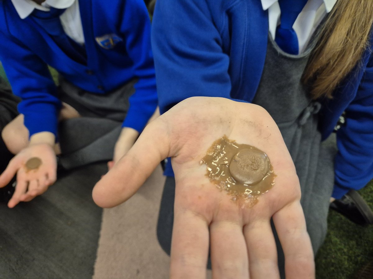 KCEclasses456's tweet photo. Oak Class have been learning all about changing states in Science. We know all about melting, freezing, condensing and evaporating.
What is happening to these chocolate buttons? Why is this happening? What would happen if your chair was made out of chocolate?
#KCEScience https://t.co/IDdwTbWMid