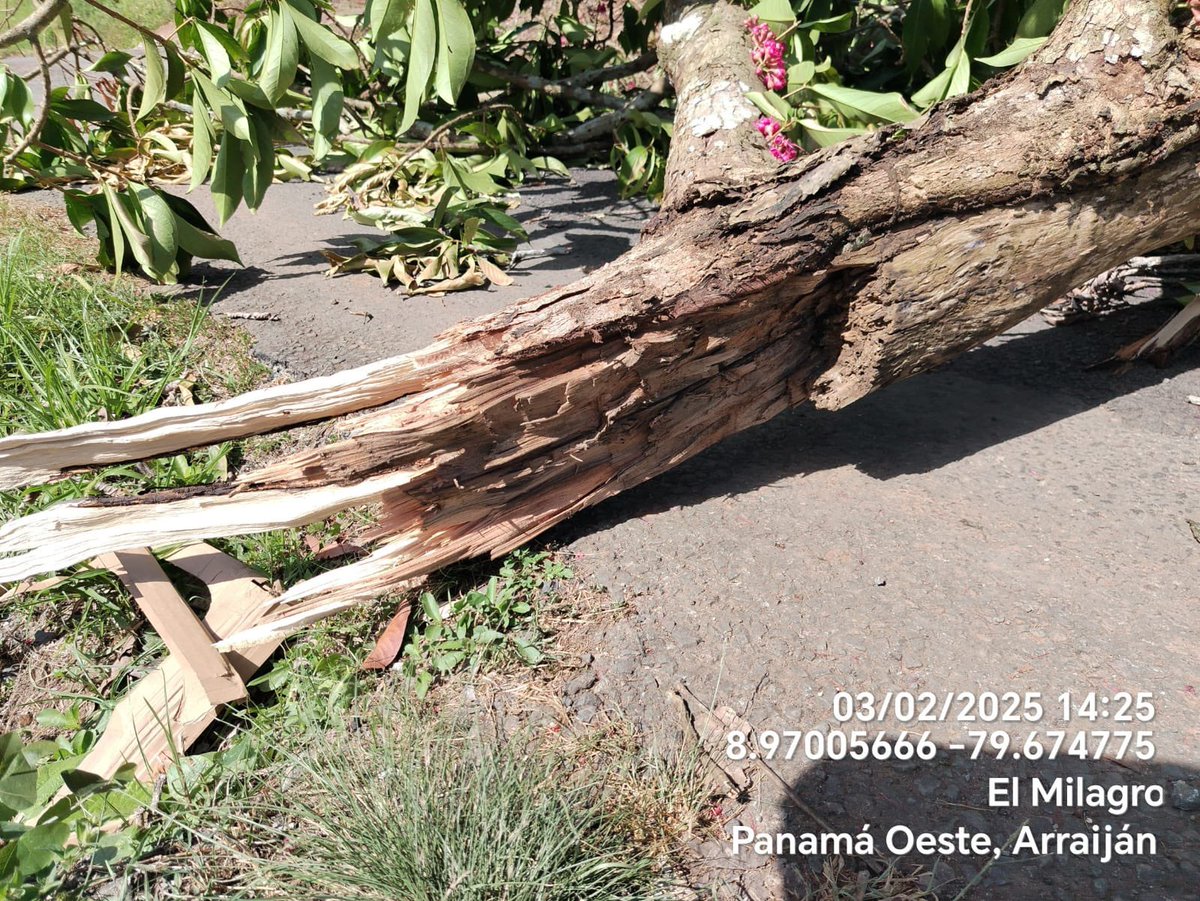 Naturgy Panamá tweet media