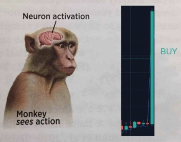 DoopieCash® tweet media