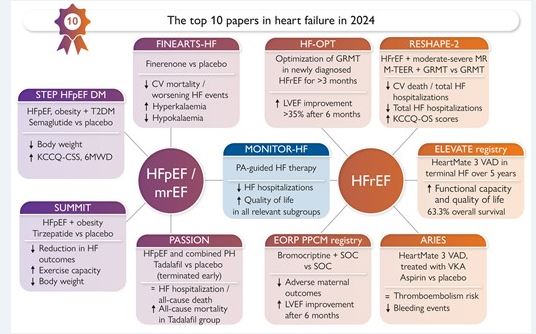 JeffLangford_SC's tweet photo. European Heart Journal shares their list of top HF papers for 2024--which will impact your practice the most this year? https://t.co/KQcg6fhBsG https://t.co/c75sTShrSc