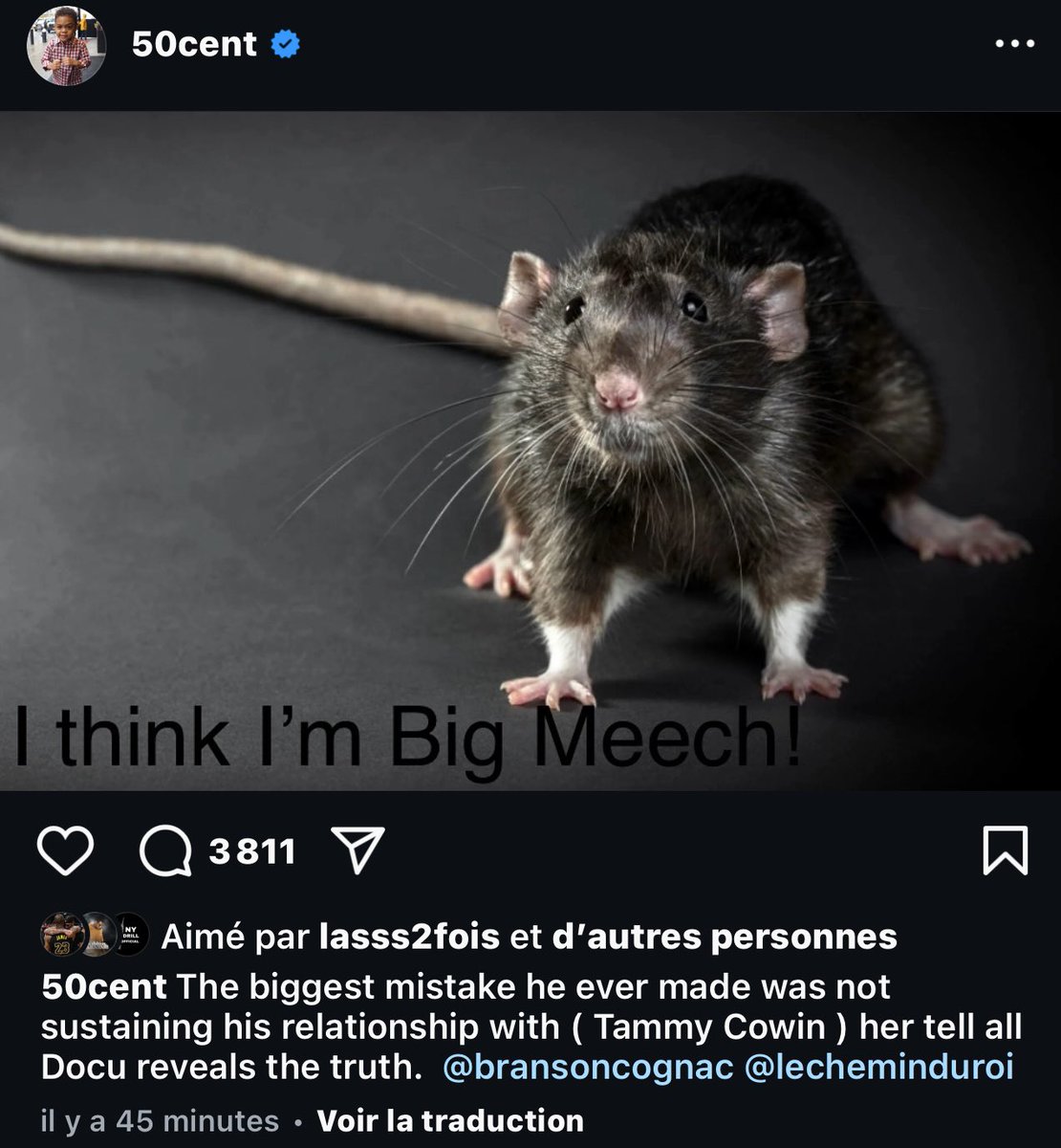 𝒞𝕖𝕖𝕣𝕒𝕟𝕠 🫯 tweet media