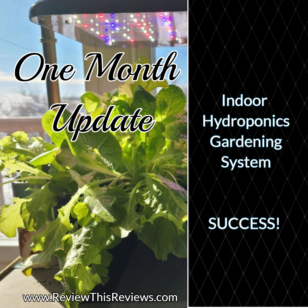 I am sorry that I waited so long to try Indoor Hydroponics Gardening!  Growing my own lettuce and kale inside while there are freezing temps outside is AWESOME! reviewthisreviews.com/2025/02/update…
#gardening #homestead