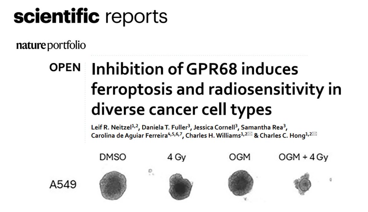 Chaz Hong MD PhD 🇺🇸 tweet media