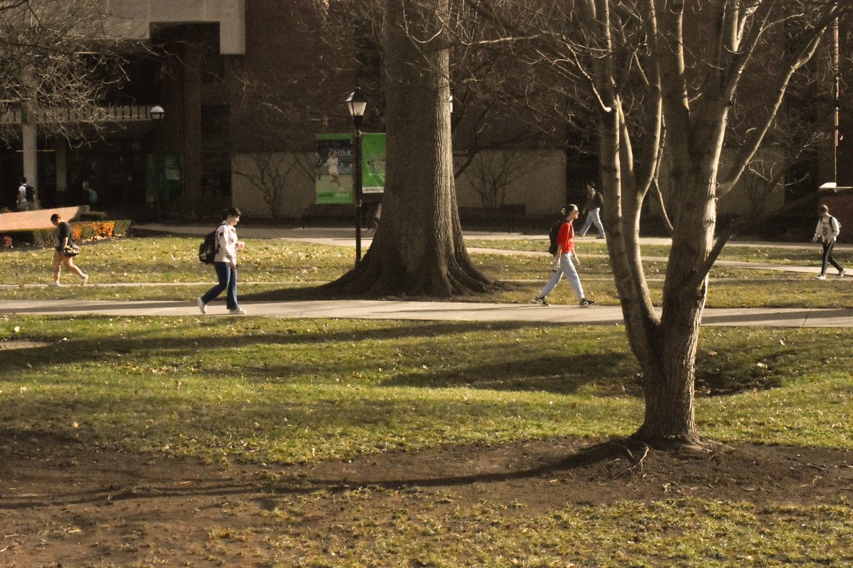 The Parthenon tweet media