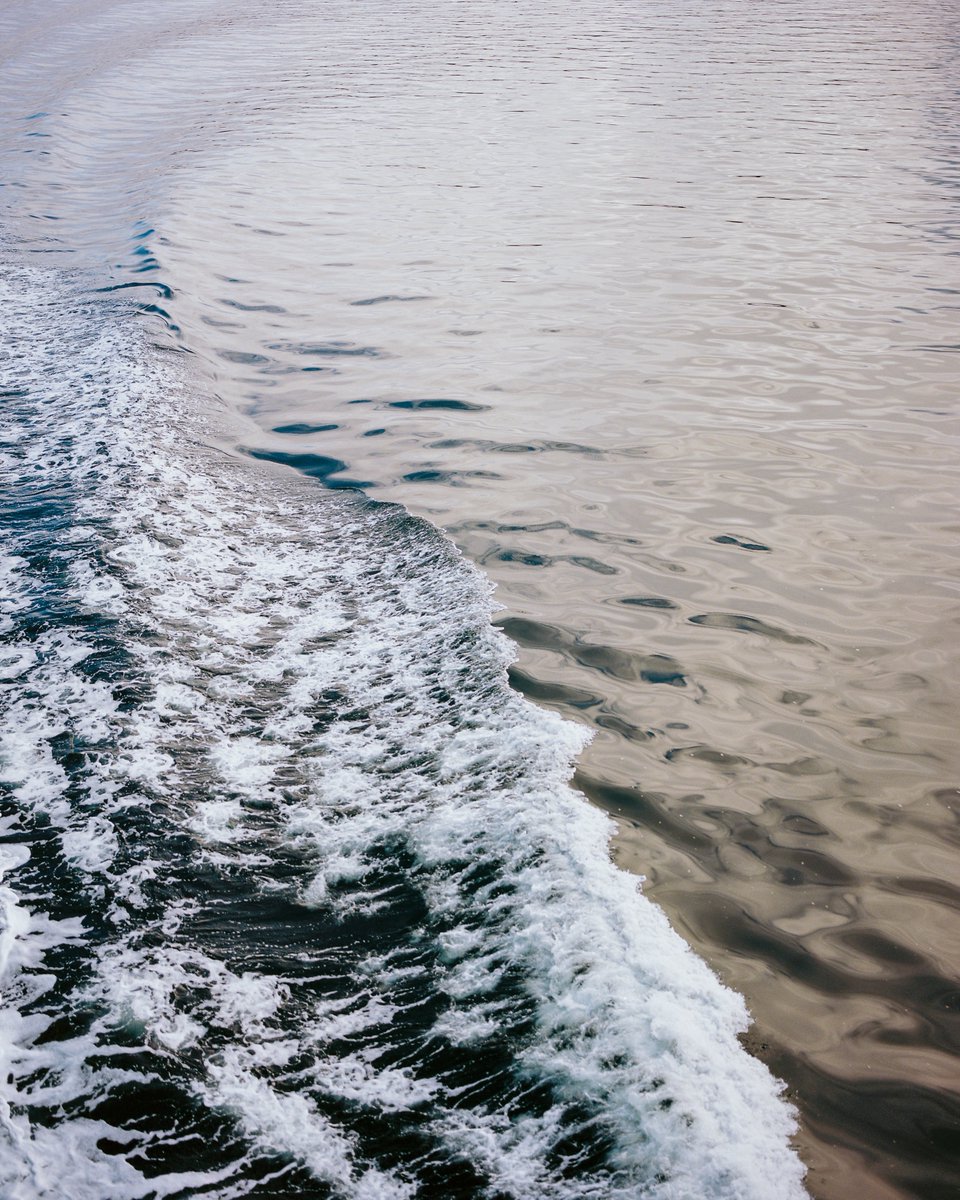 "Be Water"
Collected by <a href="/49rgirl4lyfe/">Bored49rGirl 🍌✨</a> on BTC 🟧