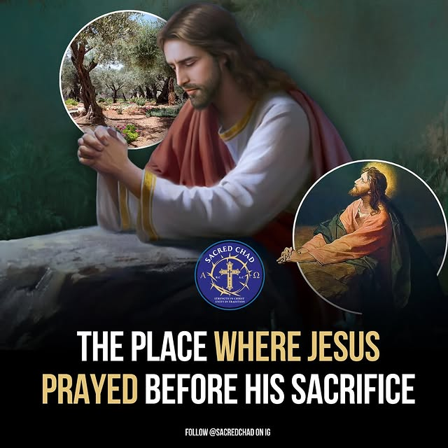 The Garden of Gethsemane, where our Lord suffered so much because of our sins.