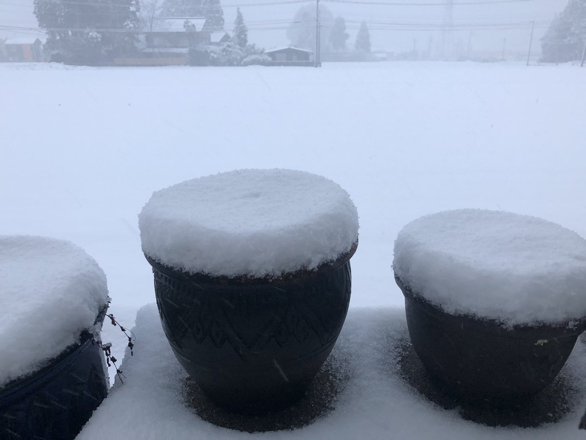 waratte69's tweet photo. おはようございます❄️
火曜日
どれだけ積もることか…
お互いに気をつけて
まいりましょう(•̀ᴗ•́)و
 #最強寒波 ⚠️ https://t.co/1hE85yhrDD