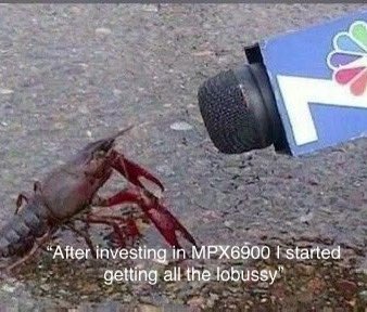 <a href="/elliotrades/">EllioTrades</a> That’s the perfect reason to invest in the first ever Memecoin Index 

#Mpx6900 

mpx6900.xyz