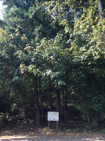 Happy Birthday <a href="/RepKloba/">Rep. Shelley Kloba</a>!

The North Creek Forest in Bothell is part of a one mile long and up to 1/3- mile wide habitat corridor on the west side of I-405 south of Canyon Park Jr. High. 

17 #StateFarm agents live in the 1st LD.