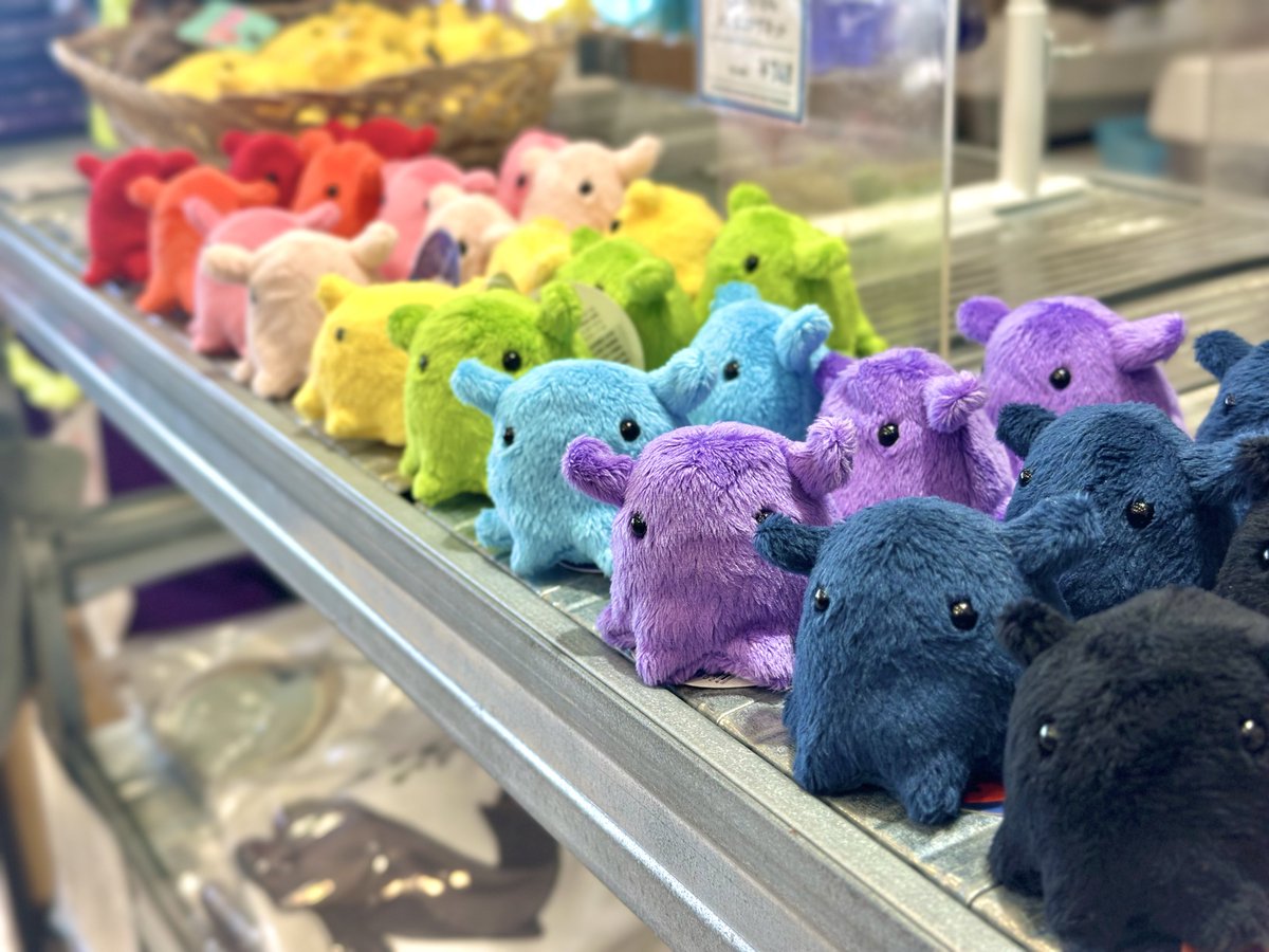 ◇◇深海生物まつり開催中◇◇ #メンダコ グッズ …だけじゃない