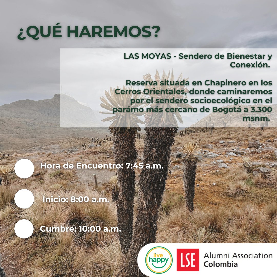 LSEalumniColo's tweet photo. Te invitamos a participar en el International Volunteer Day, con una caminata ecológica en los Cerros Orientales de Bogotá. Nos encontraremos este 15 de febrero para hacer 3.3 kilometros de recorrido por el Paramo de las Moyas - Chapinero.

Inscripciones: https://t.co/08jd89oKjy https://t.co/m8dPgne5Kp