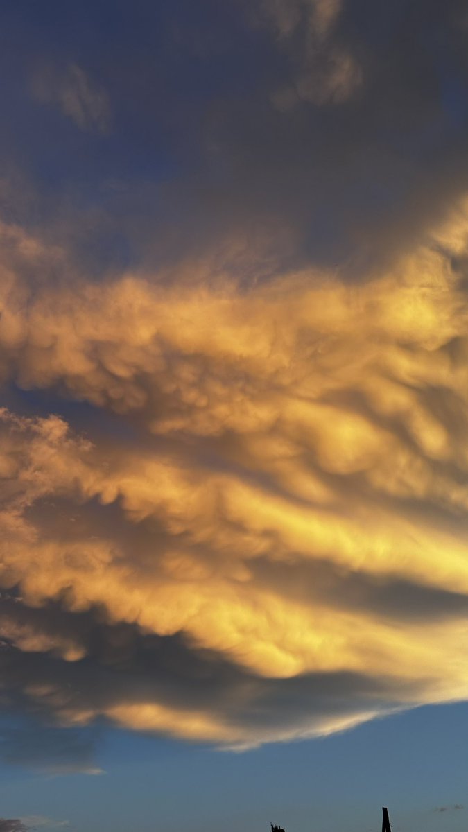 Por si no llegaron a verlas!!!