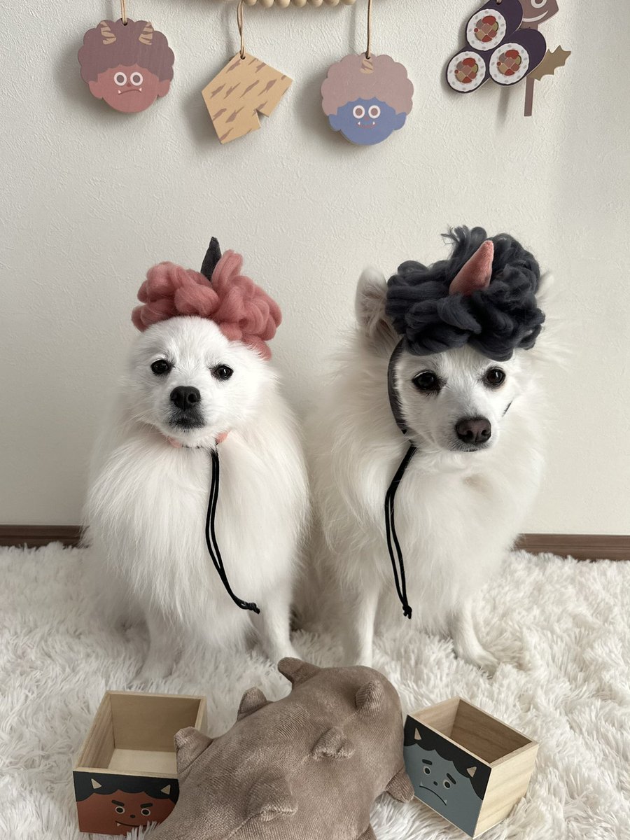 sui_spitz's tweet photo. 節分もしっかりやりました👹 https://t.co/Q2HwZnd2KN