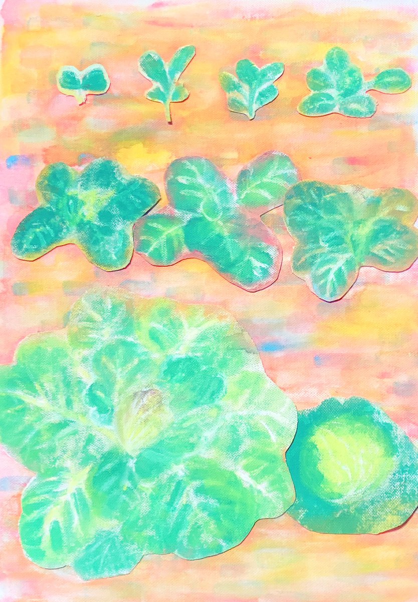 jilljilling's tweet photo. キャベツの成長を🥬

#キャベツ　#イラスト
#絵本　#もりのじる https://t.co/XFdUw7YMwV