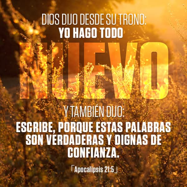 “Jesús los miró y les dijo: —Humanamente hablando es imposible, pero para Dios todo es posible.”
Mateo 19:26
<a href="/Rossbruzzone23/">Rossana Bruzzone 🇮🇹🇳🇮</a> <a href="/YBushart/">Yolanda 🇳🇮</a>
@hannahR777
<a href="/ValentiaNica/">Valentía</a> <a href="/MiBandera23/">🇳🇮💙❤️🇺🇸</a>
<a href="/Golondrina_Nica/">Golondrina 🦋 🇳🇮</a>
<a href="/Doris65465424/">💙Alondra 💙</a>
 <a href="/vmmarty/">Vic M. Martinez</a>