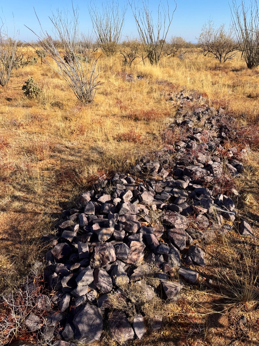 DebankurSanyal's tweet photo. Clicks from our first rangeland soil sampling… A huge thanks to @RestoreCAL for the collaboration. We will be looking into soil health changes following the installation of rock structures (luna) in the rangeland.
#HealthyDesertSoilsInitiative 
#UASoilHealthResearchExtension https://t.co/dB2b0JYrNY