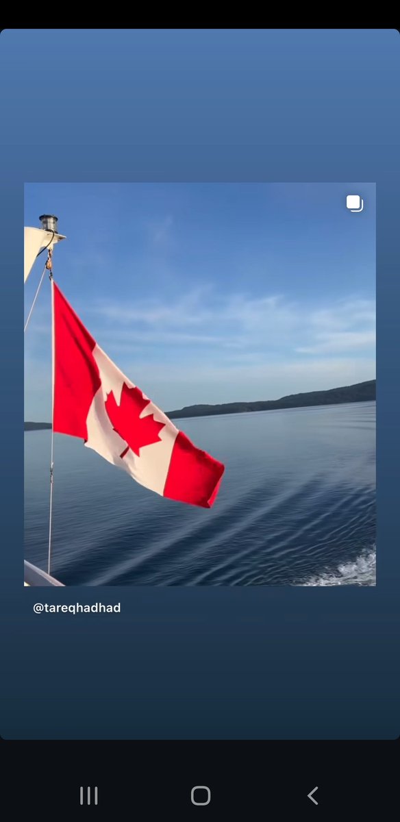 Natilien Joseph tweet media